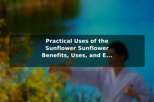 Practical Uses of the Sunflower Sunflower Benefits, Uses, and Easy Growing Guide
