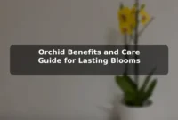 Orchid Benefits and Care Guide for Lasting Blooms