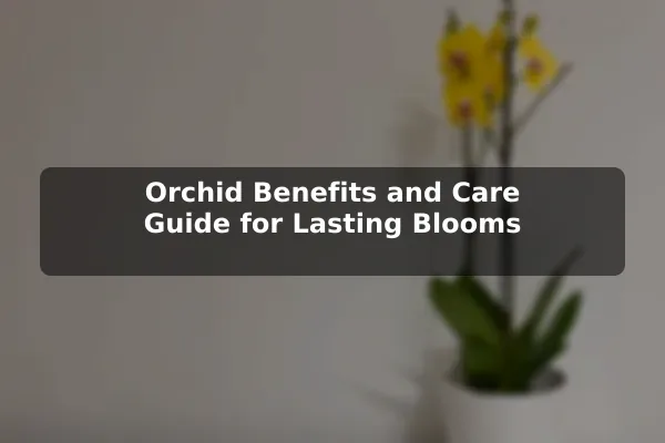 Orchid Benefits and Care Guide for Lasting Blooms