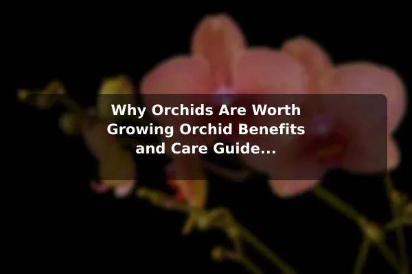Why Orchids Are Worth Growing Orchid Benefits and Care Guide for Lasting Blooms