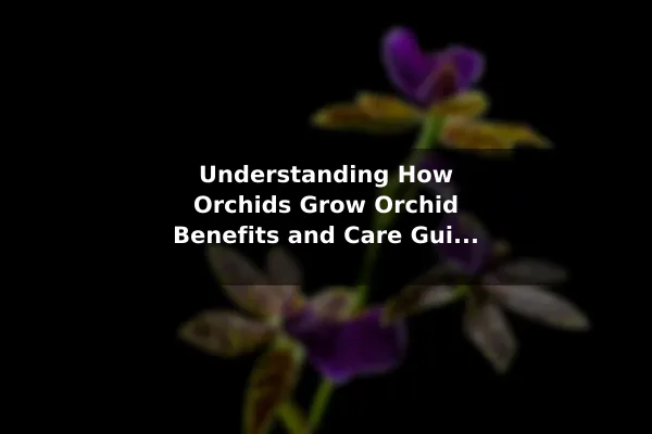 Understanding How Orchids Grow Orchid Benefits and Care Guide for Lasting Blooms