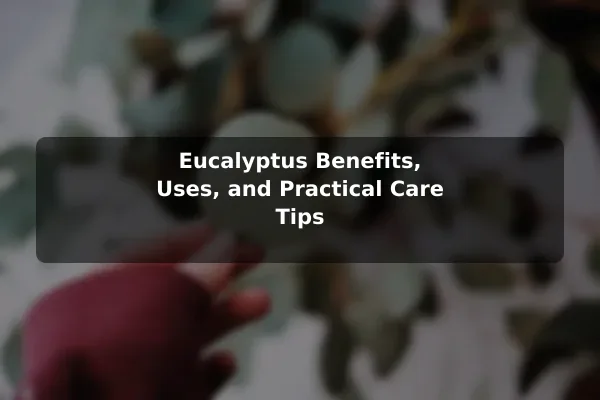 Eucalyptus Benefits, Uses, and Practical Care Tips