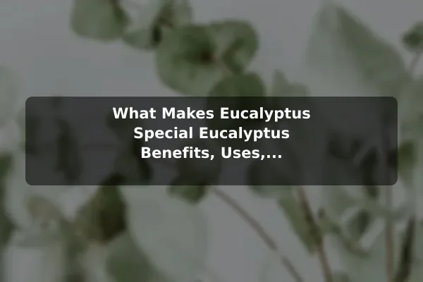 What Makes Eucalyptus Special Eucalyptus Benefits, Uses, and Practical Care Tips