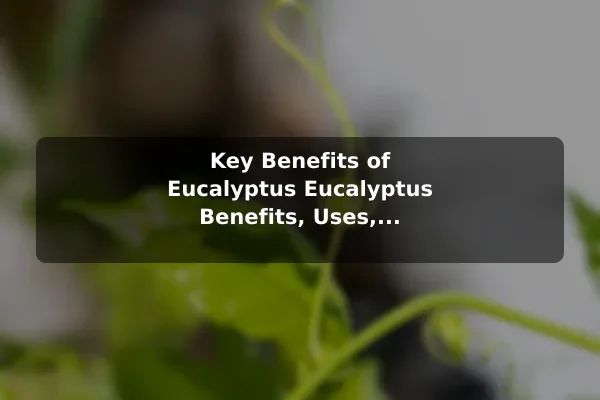 Key Benefits of Eucalyptus Eucalyptus Benefits, Uses, and Practical Care Tips