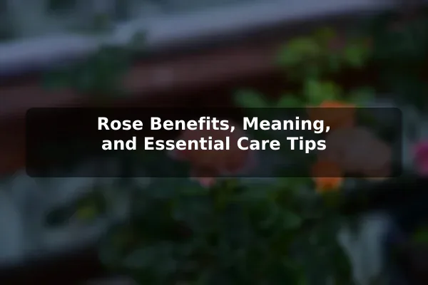 Rose Benefits, Meaning, and Essential Care Tips