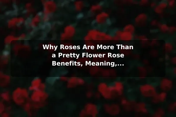 Why Roses Are More Than a Pretty Flower Rose Benefits, Meaning, and Essential Care Tips