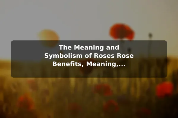The Meaning and Symbolism of Roses Rose Benefits, Meaning, and Essential Care Tips