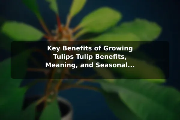 Key Benefits of Growing Tulips Tulip Benefits, Meaning, and Seasonal Growing Tips
