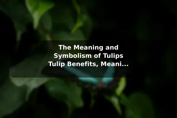 The Meaning and Symbolism of Tulips Tulip Benefits, Meaning, and Seasonal Growing Tips