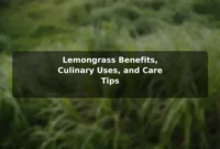 Lemongrass Benefits, Culinary Uses, and Care Tips