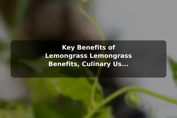 Key Benefits of Lemongrass Lemongrass Benefits, Culinary Uses, and Care Tips