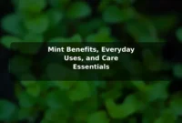 Mint Benefits, Everyday Uses, and Care Essentials
