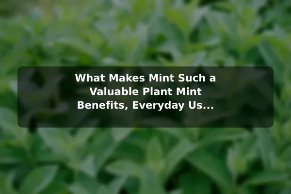 What Makes Mint Such a Valuable Plant Mint Benefits, Everyday Uses, and Care Essentials