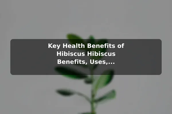 Key Health Benefits of Hibiscus Hibiscus Benefits, Uses, and Flower Care Guide