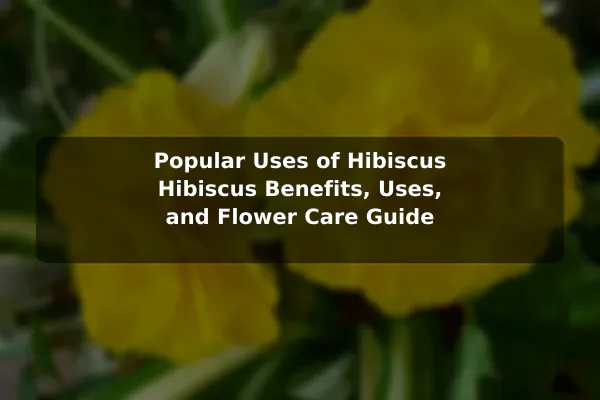 Popular Uses of Hibiscus Hibiscus Benefits, Uses, and Flower Care Guide