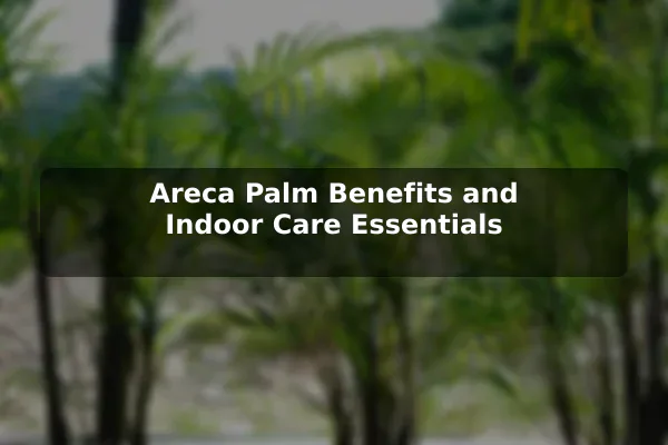 Areca Palm Benefits and Indoor Care Essentials