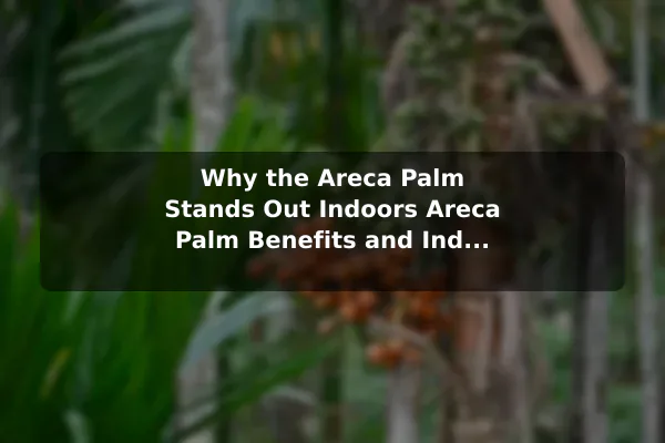 Why the Areca Palm Stands Out Indoors Areca Palm Benefits and Indoor Care Essentials