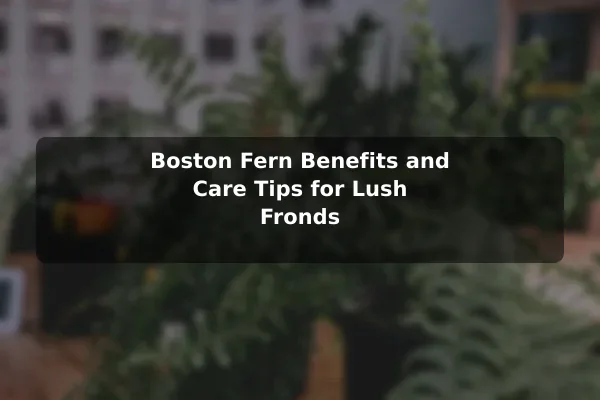 Boston Fern Benefits and Care Tips for Lush Fronds