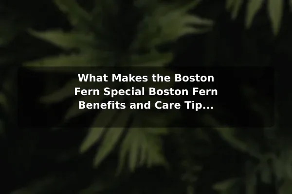 What Makes the Boston Fern Special Boston Fern Benefits and Care Tips for Lush Fronds