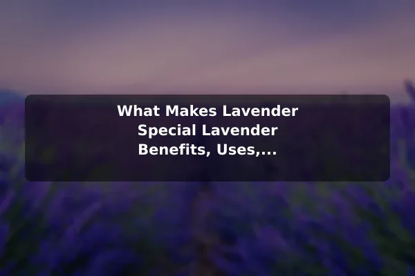 What Makes Lavender Special Lavender Benefits, Uses, and Simple Growing Tips
