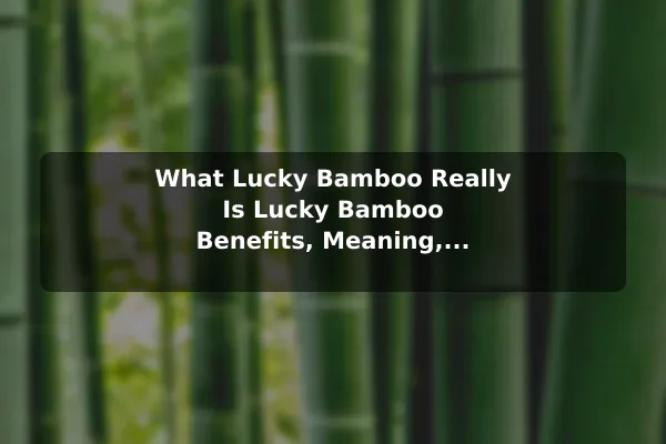 What Lucky Bamboo Really Is Lucky Bamboo Benefits, Meaning, and Care Basics