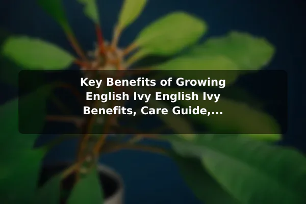 Key Benefits of Growing English Ivy English Ivy Benefits, Care Guide, and Growing Facts