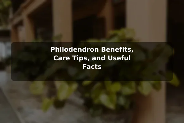 Philodendron Benefits, Care Tips, and Useful Facts