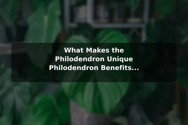 What Makes the Philodendron Unique Philodendron Benefits, Care Tips, and Useful Facts