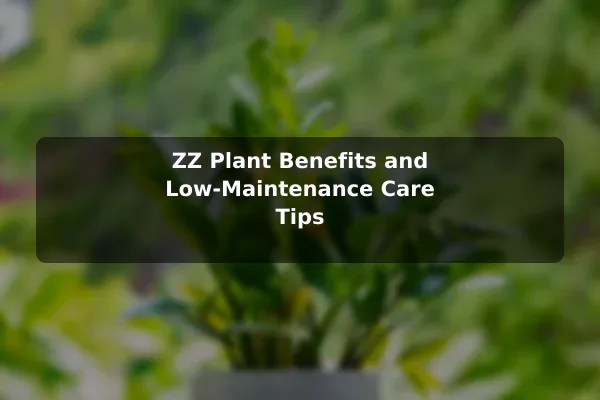 ZZ Plant Benefits and Low-Maintenance Care Tips