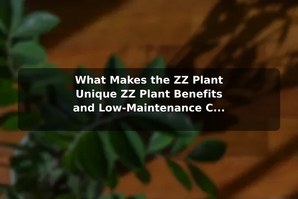 What Makes the ZZ Plant Unique ZZ Plant Benefits and Low-Maintenance Care Tips