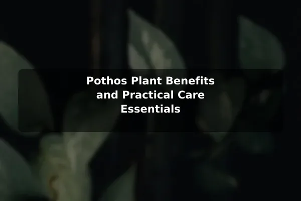 Pothos Plant Benefits and Practical Care Essentials