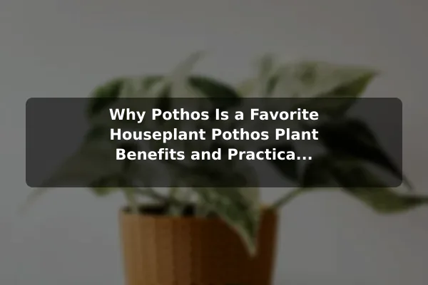 Why Pothos Is a Favorite Houseplant Pothos Plant Benefits and Practical Care Essentials