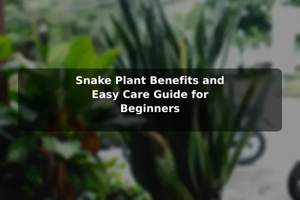 Snake Plant Benefits and Easy Care Guide for Beginners