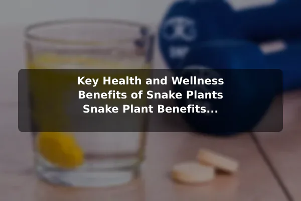 Key Health and Wellness Benefits of Snake Plants Snake Plant Benefits and Easy Care Guide for Beginners