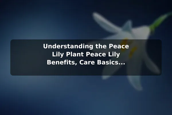 Understanding the Peace Lily Plant Peace Lily Benefits, Care Basics, and Growing Tips